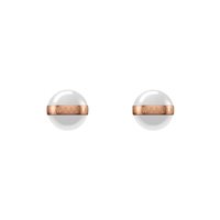 Orecchini Daniel Wellington Donna ASPIRATION in Acciaio DW00400152 - DW00400152